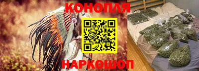 сатива Донецк