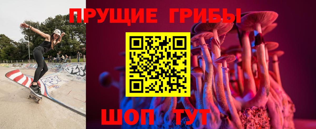 Галлюциногенные грибы прущие грибы Луга
