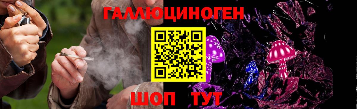 Луга  Псилоцибиновые грибы Psilocybe  Вход с VPN 